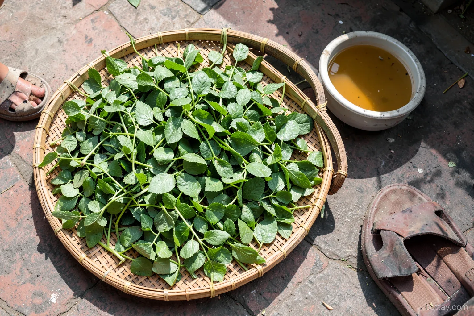 Top-down view of fresh green herbal leaves spread on a bamboo tray beside a basin of warm water on a sunny Vietnamese courtyard floor, a child sandal at the edge